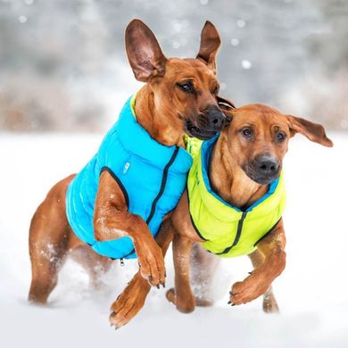 WAUDOG (Ваудог) AiryVest - Двусторонняя курточка для собак (салатовая/голубая) XS22 (20-22 см)