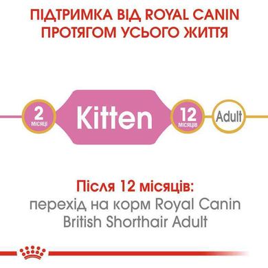 Royal Canin (Роял Канін) Kitten British Shorthair - Сухий корм з птицею для Британських короткошерстих кошенят 400 г