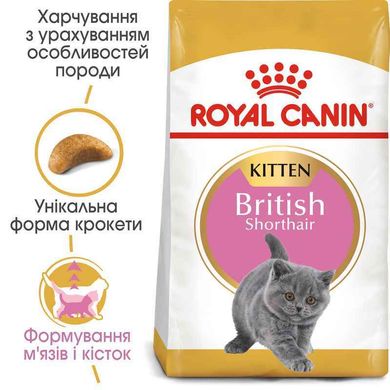 Royal Canin (Роял Канин) Kitten British Shorthair - Сухой корм с птицей для Британских короткошерстных котят 400 г