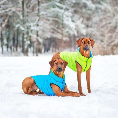 WAUDOG (Ваудог) AiryVest - Двусторонняя курточка для собак (салатовая/голубая) XS22 (20-22 см)