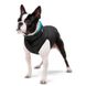 WAUDOG (Ваудог) AiryVest - Двусторонняя курточка для собак (черная/голубая) M40 (38-40 см)
