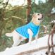 WAUDOG (Ваудог) AiryVest - Двустороння курточка для собак (салатова/блакитна) XS22 (20-22 см)