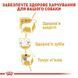 Royal Canin (Роял Канін) Poodle Adult - Вологий корм для дорослих собак породи Пудель, 85 г