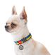 Collar (Коллар) WAUDOG Nylon - Ошейник для собак с рисунком "Colors of freedom", QR паспортом и металлической пряжкой-фастекс, нейлоновый, размер L (31-49 см), ширина 25 мм