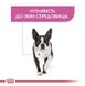 Royal Canin (Роял Канин) Relax Care Loaf - Консервированный корм для собак разных размеров, чувствительных к изменениям среды (паштет) 85 г