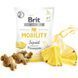 Brit Care (Бріт Кеа) Dog Functional Snack Mobility Squid &ndash; Функціональні ласощі з кальмаром і ананасом для суглобів і хрящів дорослих собак всіх порід, 150 г
