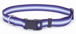 Coastal (Костал) Trendz Graduated - Нашийник для собак 1х30 см Пурпурний