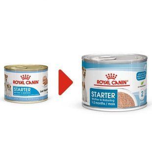 Royal Canin (Роял Канін) Starter Mother&Babydog Mousse - Мус для цуценят до 2-х місяців 195 г