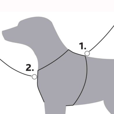 Trixie (Трикси) Premium Trekking - Шлея нейлоновая для собак с мягкой обивкой M/53-64 см Океан / Графит