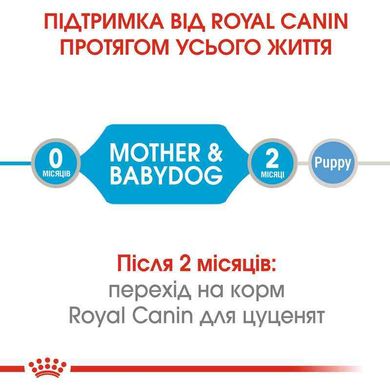 Royal Canin (Роял Канін) Starter Mother&Babydog Mousse - Мус для цуценят до 2-х місяців 195 г