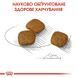 Royal Canin (Роял Канін) Mini Urinary Care - Сухий корм для собак малих порід з чутливою сечовидільної системою, 1 кг