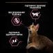 Purina Pro Plan (Пурина Про План) Delicate Digestion Adult Turkey - Сухой корм с индейкой для взрослых кошек с чувствительным пищеварением, 14 кг