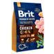 Brit Premium (Бріт Преміум) by Nature SENIOR S+M - Сухий корм з куркою для літніх собак дрібних і середніх порід, 3 кг