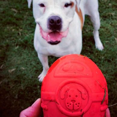 SodaPup (Сода Пап) Spotnik Rocketman – Жевательная игрушка-диспенсер Ракета для лакомств из суперпрочного материала для собак L