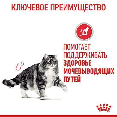 Royal Canin (Роял Канин) Urinary Care - Сухой корм для взрослых котов, способствующий поддержанию здоровья мочевыделительной системы, 8+2 кг