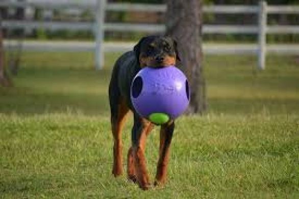 Jolly Pets (Джоллі Петс) TEASER BALL - Iграшка м'яч подвiйний Тiзер болл для собак 10х10х10 см Фіолетовий