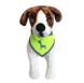 Alcott (Алкотт) Visibility Dog Bandana - Неонова бандана для собак (жовта) Small