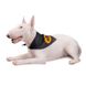 Pet Fashion (Пет Фешн) BatDog – Бандана с принтом Летучая мышь для собак (черная) XS-S