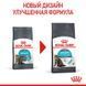 Royal Canin (Роял Канин) Urinary Care - Сухой корм для взрослых котов, способствующий поддержанию здоровья мочевыделительной системы, 8+2 кг