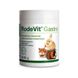 Dolfos (Дольфос) Rodevit Gastro - Додатковий корм для правильного травлення і підвищення імунітету для кроликів і гризунів 60 г