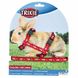 Trixie (Трикси) Rabbit Harness with Leash - Шлейка с поводком для кроликов с рисунком 25-44 см / 10 мм Цвета в ассортименте