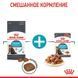 Royal Canin (Роял Канин) Urinary Care - Сухой корм для взрослых котов, способствующий поддержанию здоровья мочевыделительной системы, 8+2 кг