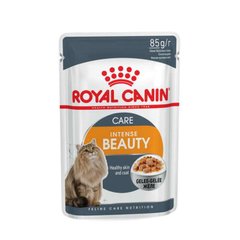 Royal Canin (Роял Канін) Intense Beauty - Консервований корм для котів для підтримки краси шерсті (шматочки в желе) 85 г