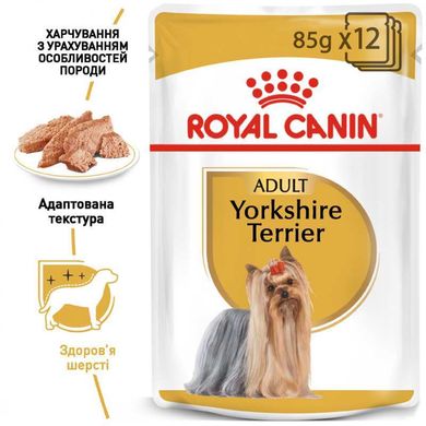 Royal Canin (Роял Канін) Yorkshire Terrier Adult - Вологий корм для дорослих собак породи Йоркширський Тер'єр (паштет) 85 г