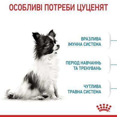 Royal Canin (Роял Канин) X-Small Puppy - Сухой корм для миниатюрных щенков возрастом от 2 до 10 месяцев, 500 г
