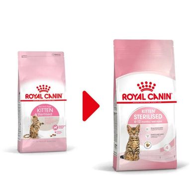 Royal Canin (Роял Канин) Kitten Sterilised - Сухой корм с птицей для котят после стерилизации 3,5 кг