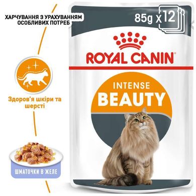 Royal Canin (Роял Канин) Intense Beauty - Консервированный корм для кошек для поддержания красоты шерсти (кусочки в желе) 85 г