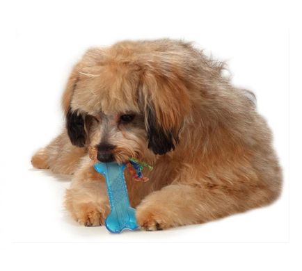 Petstages (Петстейджес) Mini Orka Bone - Іграшка для собак Орка Кісточка міні 12 см Блакитний