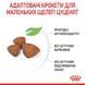 Royal Canin (Роял Канин) X-Small Puppy - Сухой корм для миниатюрных щенков возрастом от 2 до 10 месяцев, 500 г