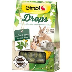Gimpet (ДжимПет) GimBi Drops – Лакомство для грызунов, дропсы с травами 50 г