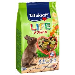 Vitakraft (Вітакрафт) LIFE Power - Корм для кроликів з бананом 600 г