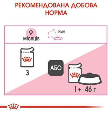 Royal Canin (Роял Канін) Kitten Sterilised - Консервований корм шматочками для стерилізованих кошенят (шматочки в соусі) 85 г