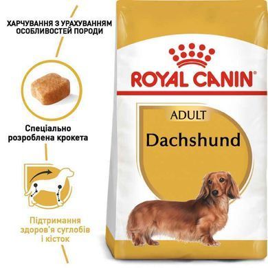 Royal Canin (Роял Канин) Dachshund 28 Adult - Сухой корм для такс, 1,5 кг