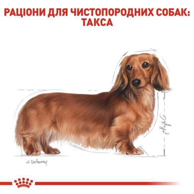 Royal Canin (Роял Канин) Dachshund 28 Adult - Сухой корм для такс 1,5 кг