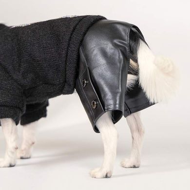 Pet Fashion (Пет Фешн) The Mood Vogue - Костюм для собак (чорний) XS (23-26 см)