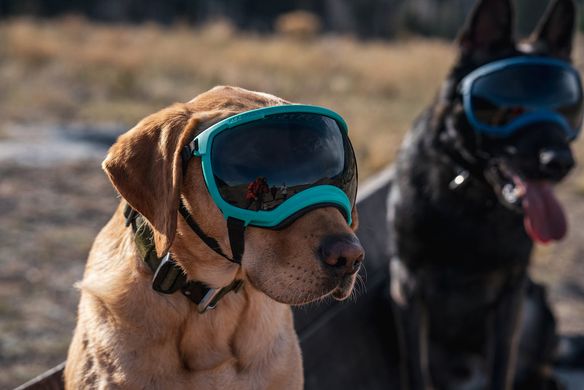 Rex Specs (Рекс Спекс) - тактические солнцезащитные очки-маска для собак, XS Black