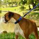 Coastal (Костал) Rope Dog Leash - Круглый поводок для собак из нейлона 1х180 см Красный