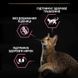 Purina Pro Plan (Пурина Про План) Sterilised Delicate Digestion Adult - Сухой корм с курицей для стерилизованных кошек с чувствительным пишеварением, 400 г