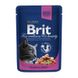 Brit Premium (Бріт Преміум) Cat Pouches with Salmon & Trout - Пауч з лососем і фореллю для котів 100 г