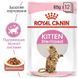 Royal Canin (Роял Канін) Kitten Sterilised - Консервований корм шматочками для стерилізованих кошенят (шматочки в соусі) 85 г