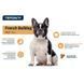 Advance (Едванс) French Bulldog Adult - Сухий корм з м'ясом качки для дорослих собак породи французький бульдог, 7,5 кг