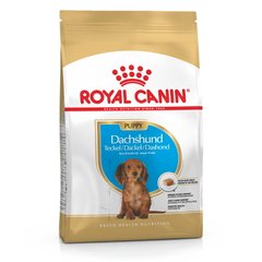 Royal Canin (Роял Канин) Dachshund Puppy - Сухой корм с мясом птицы для щенков таксы 1,5 кг