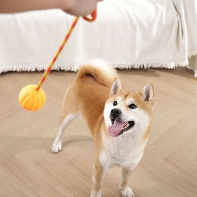 M-Pets (М-Петс) Flash LED Ball - Світлодіодна куля для собак, Салатовий, 6,4х50 см