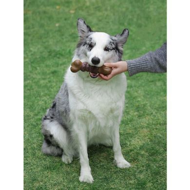 M-Pets (М-Петс) Chewood Dog Toy Bone with Rubber - Іграшка Кістка з гумкою для собак, L