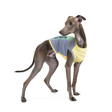 Pet Fashion (Пет Фешн) Say Yes Sea Sand - Борцівка для собак (жовто-синьо-зелена) XS (23-25 см)