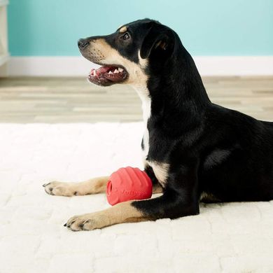 Jolly Pets (Джолли Пэтс) JOLLY TUFF TOSSER - Игрушка-мяч для лакомств Джолли Тафф Тоссер для собак 10х10х10 см Красный